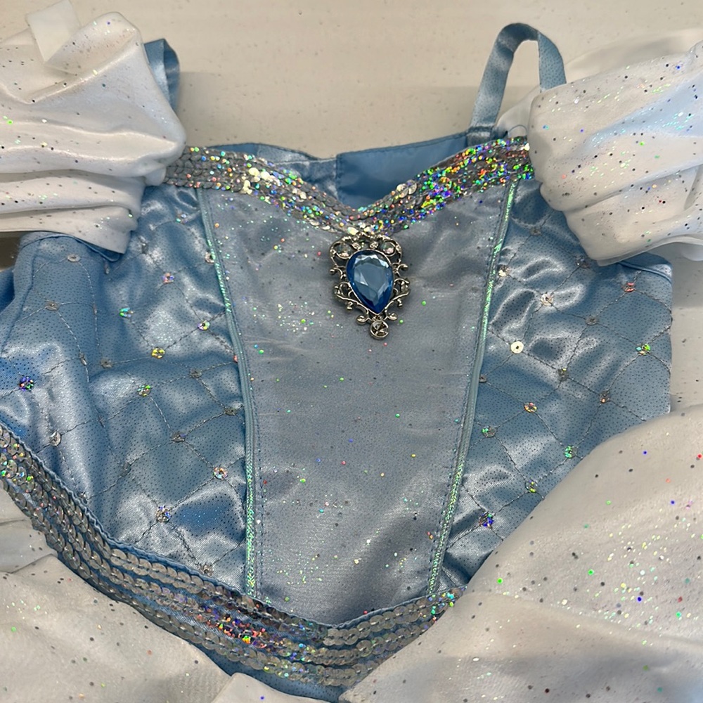 COPY - Disney Cinderella princess dress